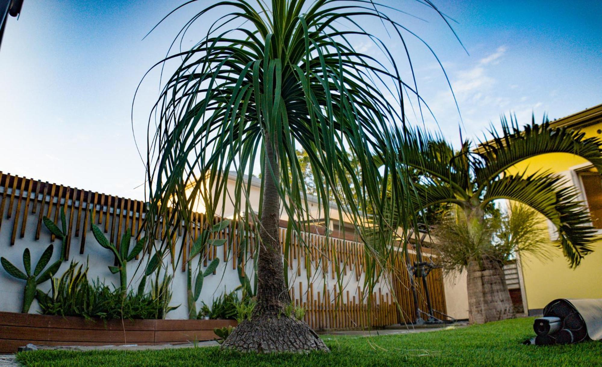 Villa Osao Panahy Le Patelin Extérieur photo